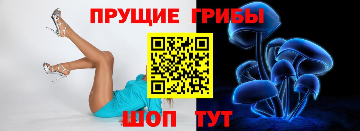 Псилоцибиновые грибы GOLDEN TEACHER  Вход с VPN  Холмск  Галлюциногенные грибы ЛСД 